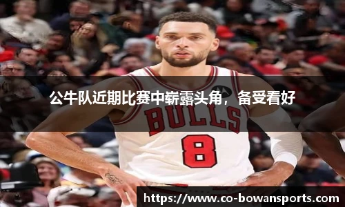 博万体育