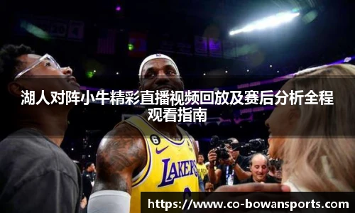 湖人对阵小牛精彩直播视频回放及赛后分析全程观看指南
